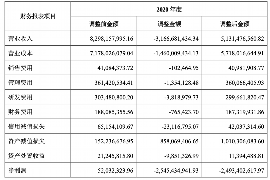 天水天水的要账公司在催收过程中的策略和技巧有哪些？